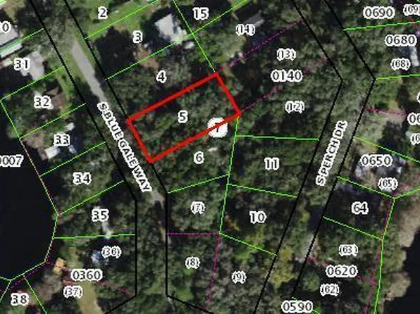 5575 S Bluegill Way, Floral City, FL 34436