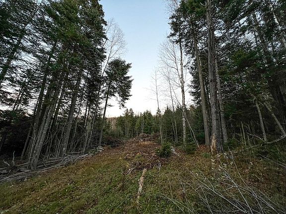 2nd image of Lot 16 Mill Brook Road