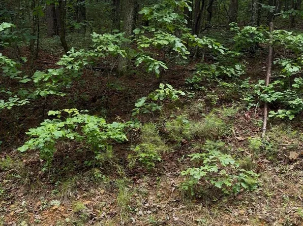 0 White Oak Ct, Fairfield Bay, AR 72088