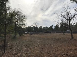 257 Nancy Rd, Pelion, SC 29123