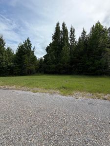 PARCEL 4 R Thompson Rd, Lumberton, MS, 39455