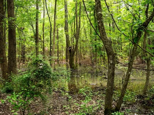 7398 Amon Hill Rd, Bastrop, LA 71220