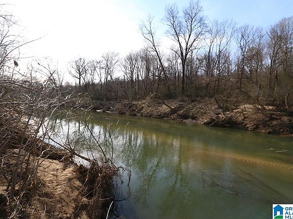 4th image of Highway 47 Acres #53