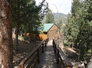 347 Gold Flake Ter, Bailey, CO 80421