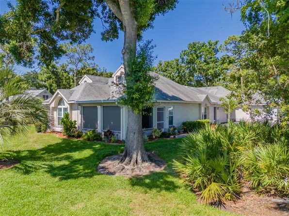 911 Golfview Woods Dr, Ruskin, FL 33573