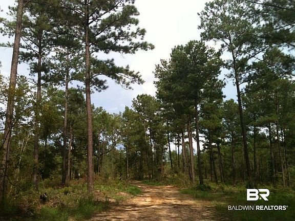 4th image of 0 Lott Rd