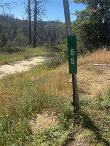 55 Town Hill Way, Berry Creek, CA, 95916