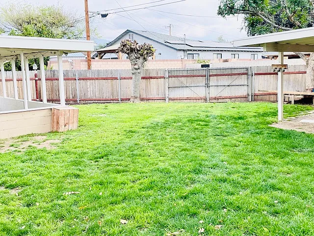 Backyard
