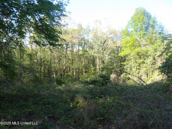 5th image of 4269 Laws Hill Rd
