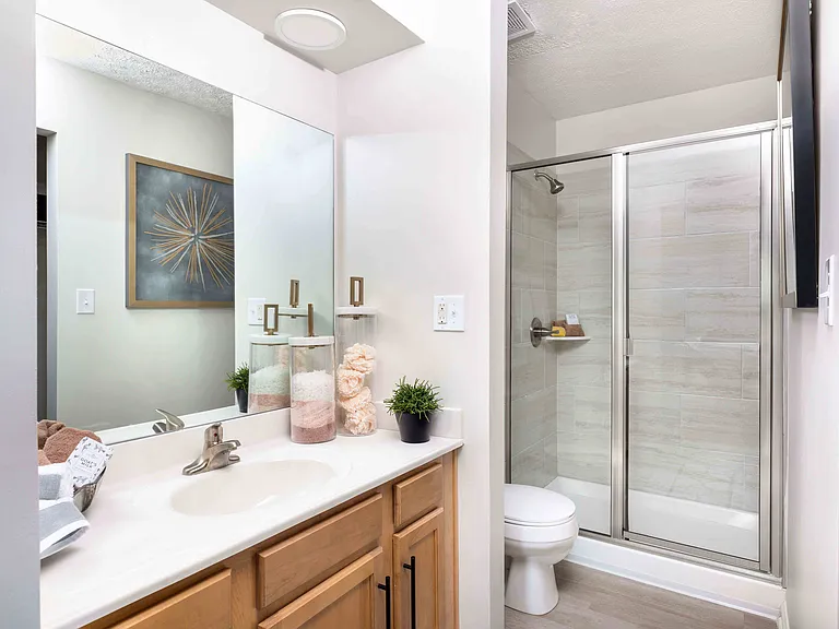 Primary Bathroom with Walk-In Shower