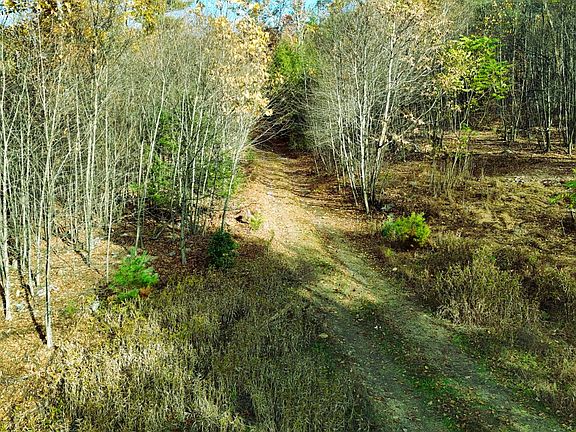 5th image of 2 Ducks Gap Rd