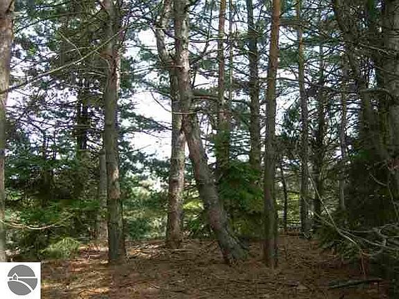 5th image of S Leelanau Way
