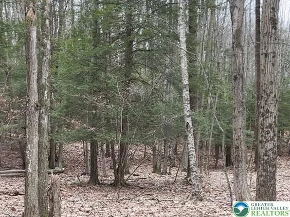 153 Pine Tree Dr, Cresco, PA 18326