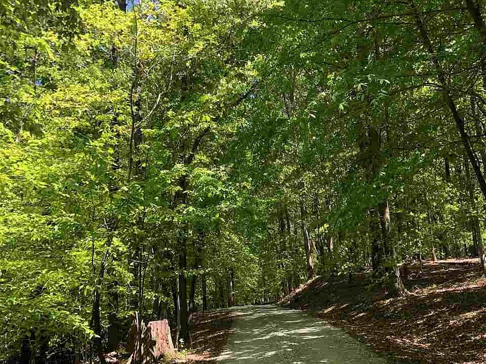 1st image of LOT 2 Piney Creek Ln Lot 2