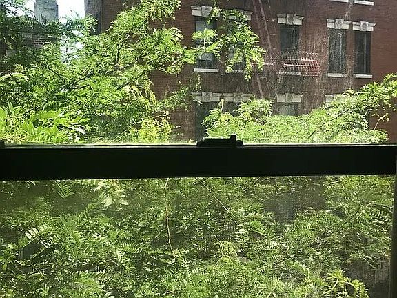 5th image of 229 Elizabeth St APT 12