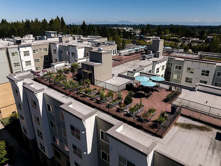 Aerial View of Community