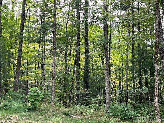 4th image of Lot 8 Norton Ridge Lane