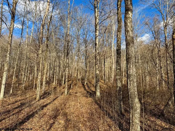 Keller Hl, Belington, WV 26250