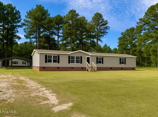 21041 River Birch Dr, Wagram, NC 28396
