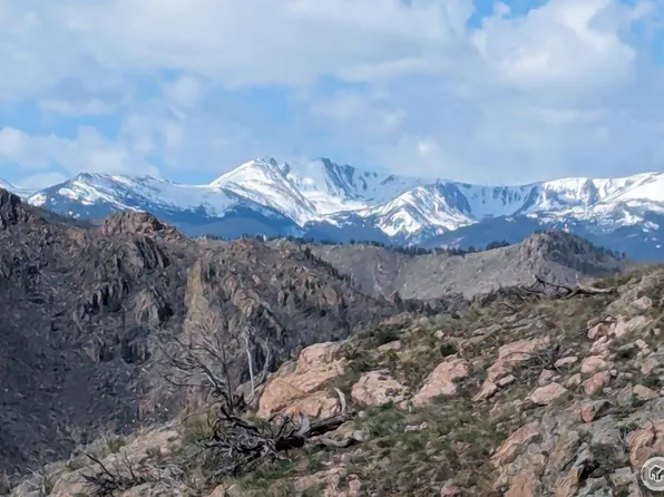 131 Bull Rock Ct, Livermore, CO 80536