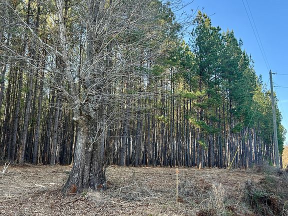 4th image of X Grimes Rd