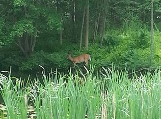 325 Mansfield Rd, Ashford, CT 06278