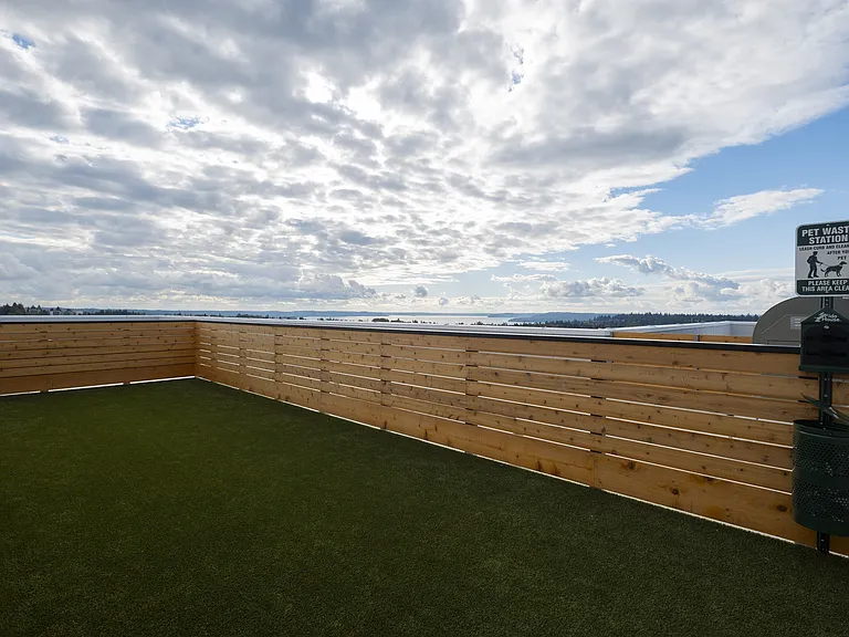 Rooftop_Amelia_202410 (10)