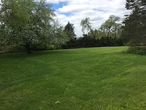 80 Manuel Dr Photo 1