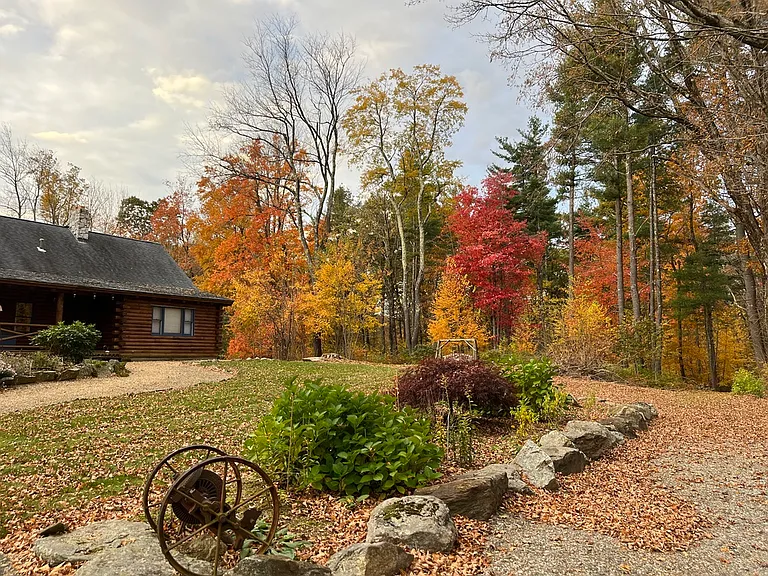 Fall