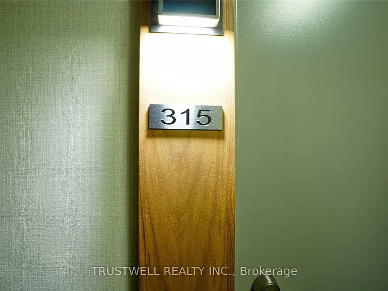 295 Adelaide St W #315 — Photo 11