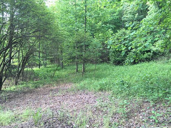 5th image of 16 Mill Brook Dr