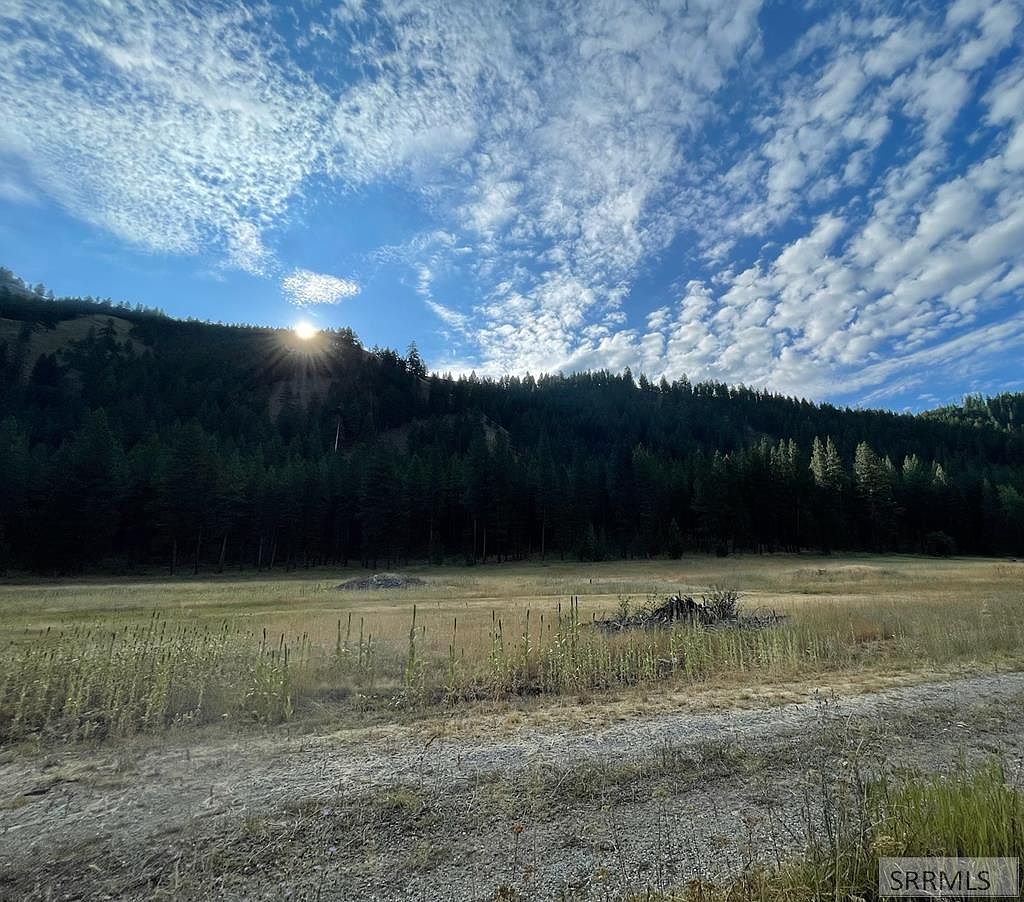 10 N Usher Ln, Gibbonsville, ID 83463 MLS 2156198 Zillow