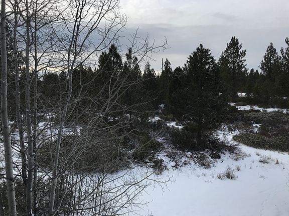 View from back deck of 2031 