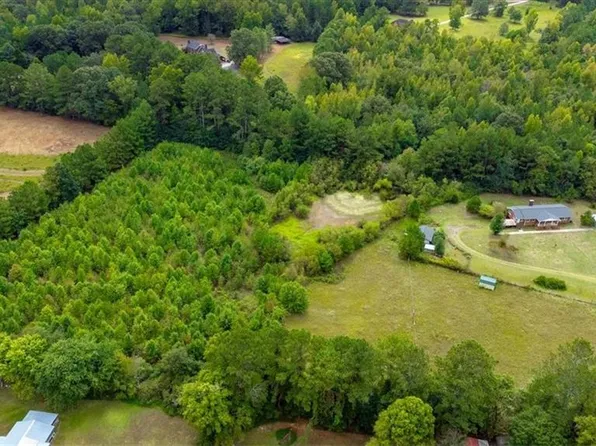 61 Parham Ln, Summerville, GA 30747