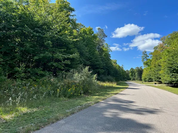 11300 Berry Creek Valley Rd, Petoskey, MI 49770