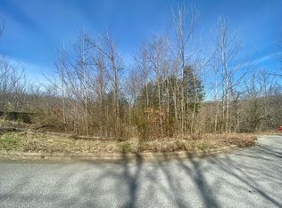 8 Valley View Dr, Branson, MO 65616