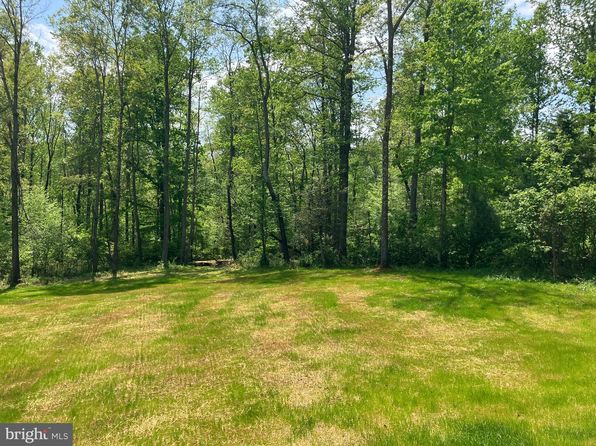 14400 Reva Rd, Reva, VA 22735