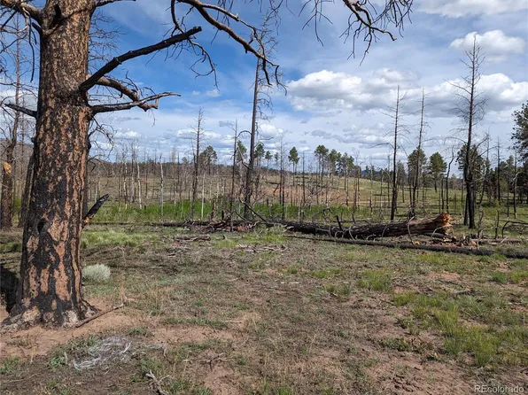 536 Leslie Loop, Fort Garland, CO 81133