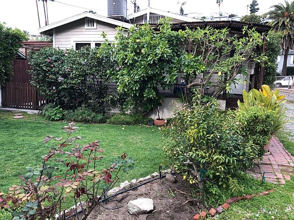 Back Garden