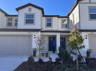 32050 Pop Ash Pl, San Antonio, FL 33576