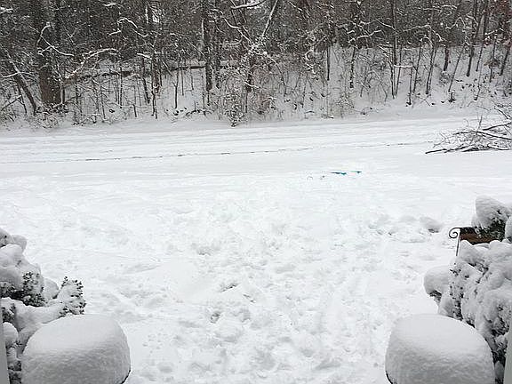 Front door view 
