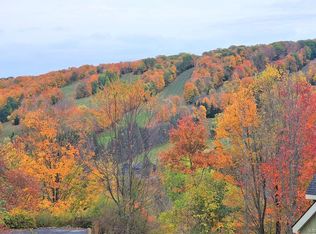 6840 Niles Rd, Ellicottville, NY 14731