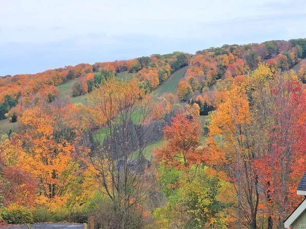 6840 Niles Rd, Ellicottville, NY 14731