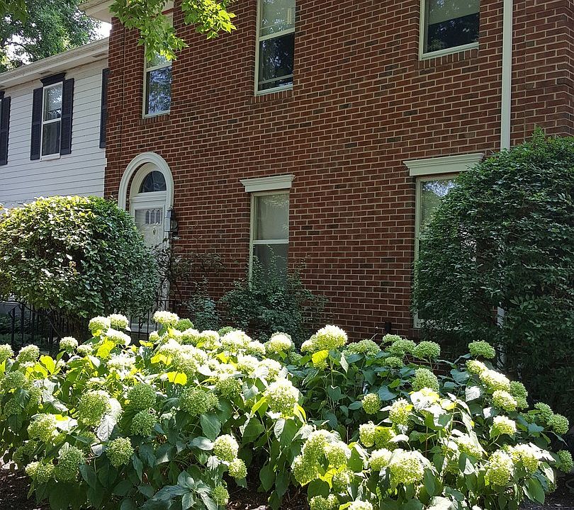 1st image of 9025 Lincolnwood Dr #2B