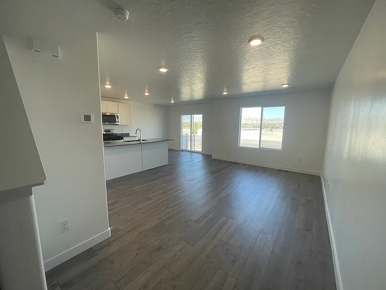 Actual kitchen/living, non-professional pic