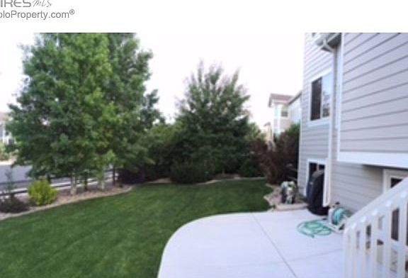 Beautiful Daylight or Garden Level Basement