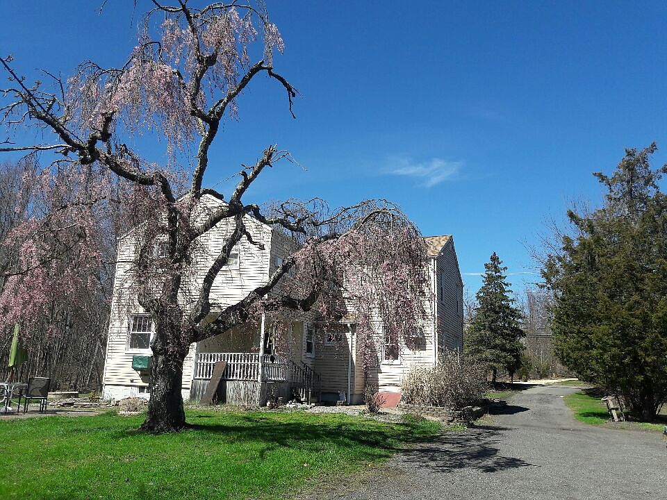 Back House Blue Sky