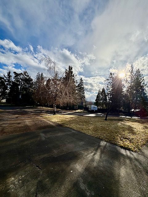 Looking out across the yard and driveway from the garage.