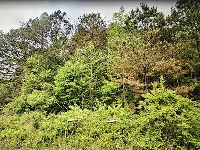 3753 County Road 42 #1, Oneonta, AL, 35121