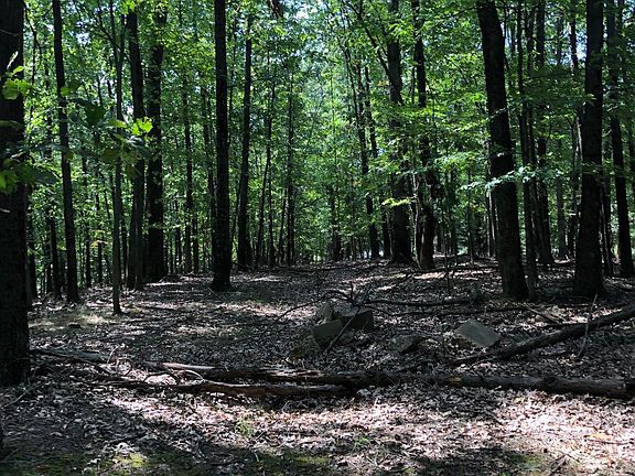 4th image of Otter Creek Dr